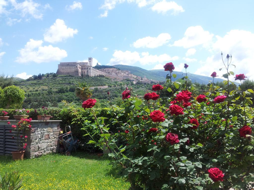 B&B Barbara Assisi Cannara Δωμάτιο φωτογραφία
