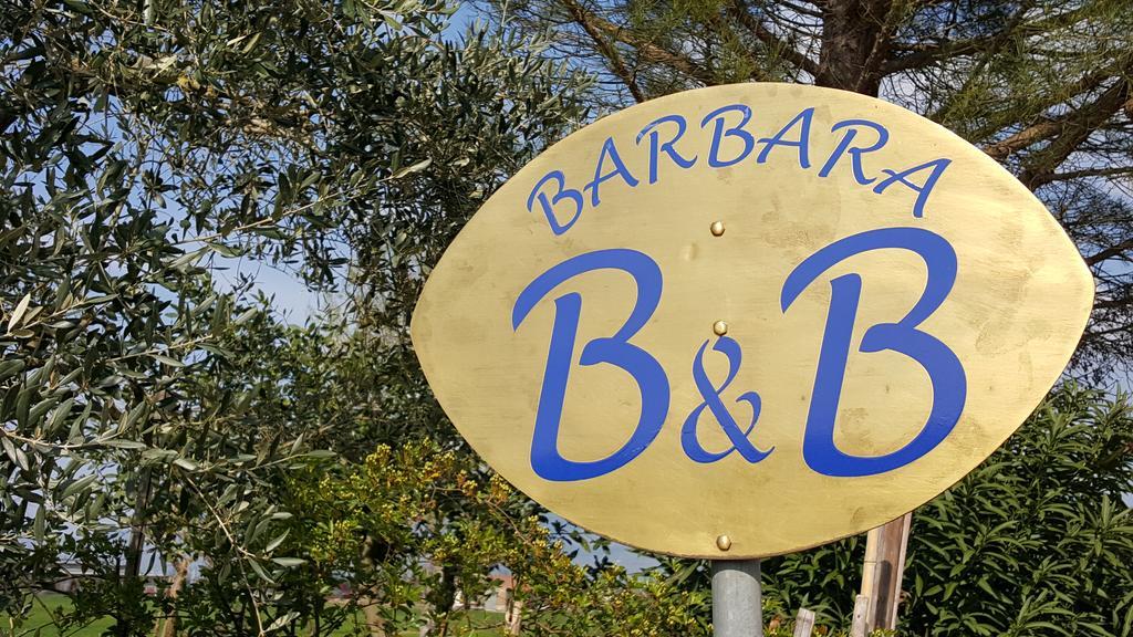 B&B Barbara Assisi Cannara Εξωτερικό φωτογραφία