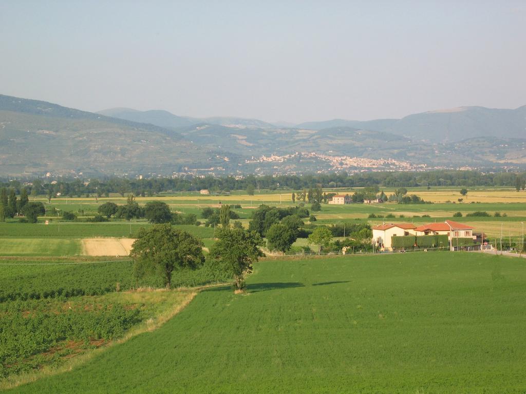 B&B Barbara Assisi Cannara Εξωτερικό φωτογραφία